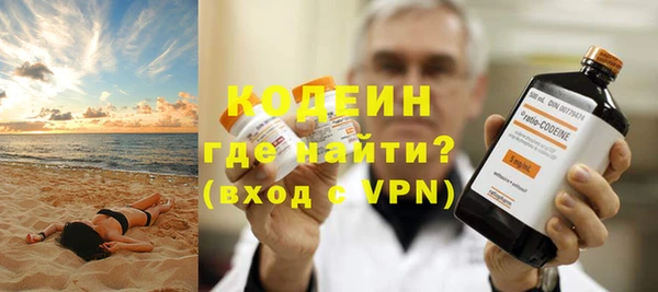 индика Бронницы