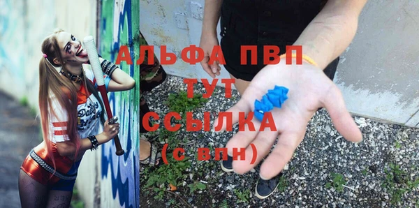 гашик Бородино