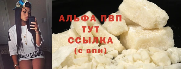 индика Бронницы