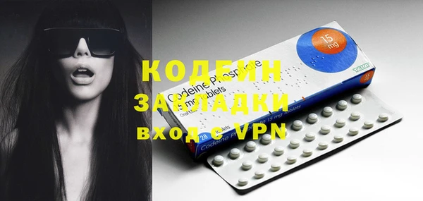 индика Бронницы