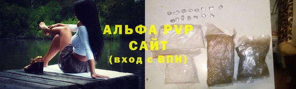 гашик Бородино
