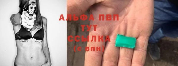 индика Бронницы