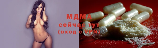 индика Бронницы