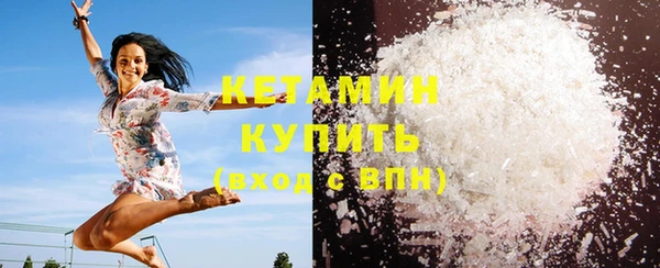 индика Бронницы
