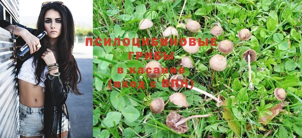 Альфа ПВП Бугульма