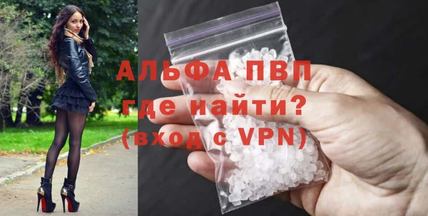 гашик Бородино