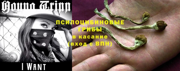 индика Бронницы