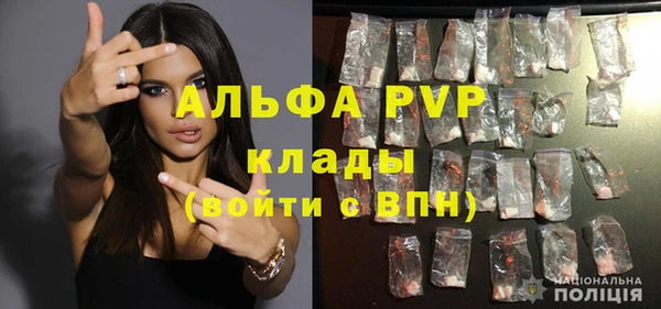 гашик Бородино