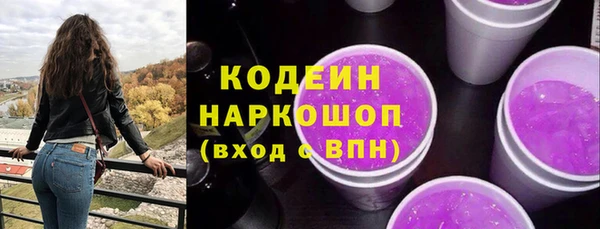 индика Бронницы