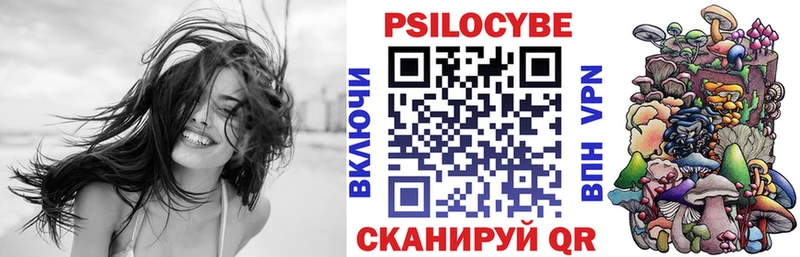 Псилоцибиновые грибы GOLDEN TEACHER  как найти закладки  Новороссийск 